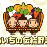 愛知県の「あいちの伝統野菜」の種（たね）はどこで購入できる？